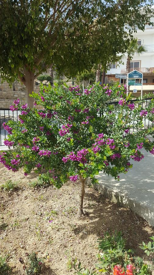 Lazaros Pissouri Apartments Extérieur photo